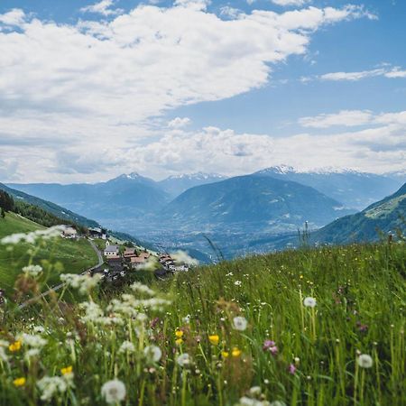 Ferienwohnungen Wiesbauer Schenna Exteriör bild