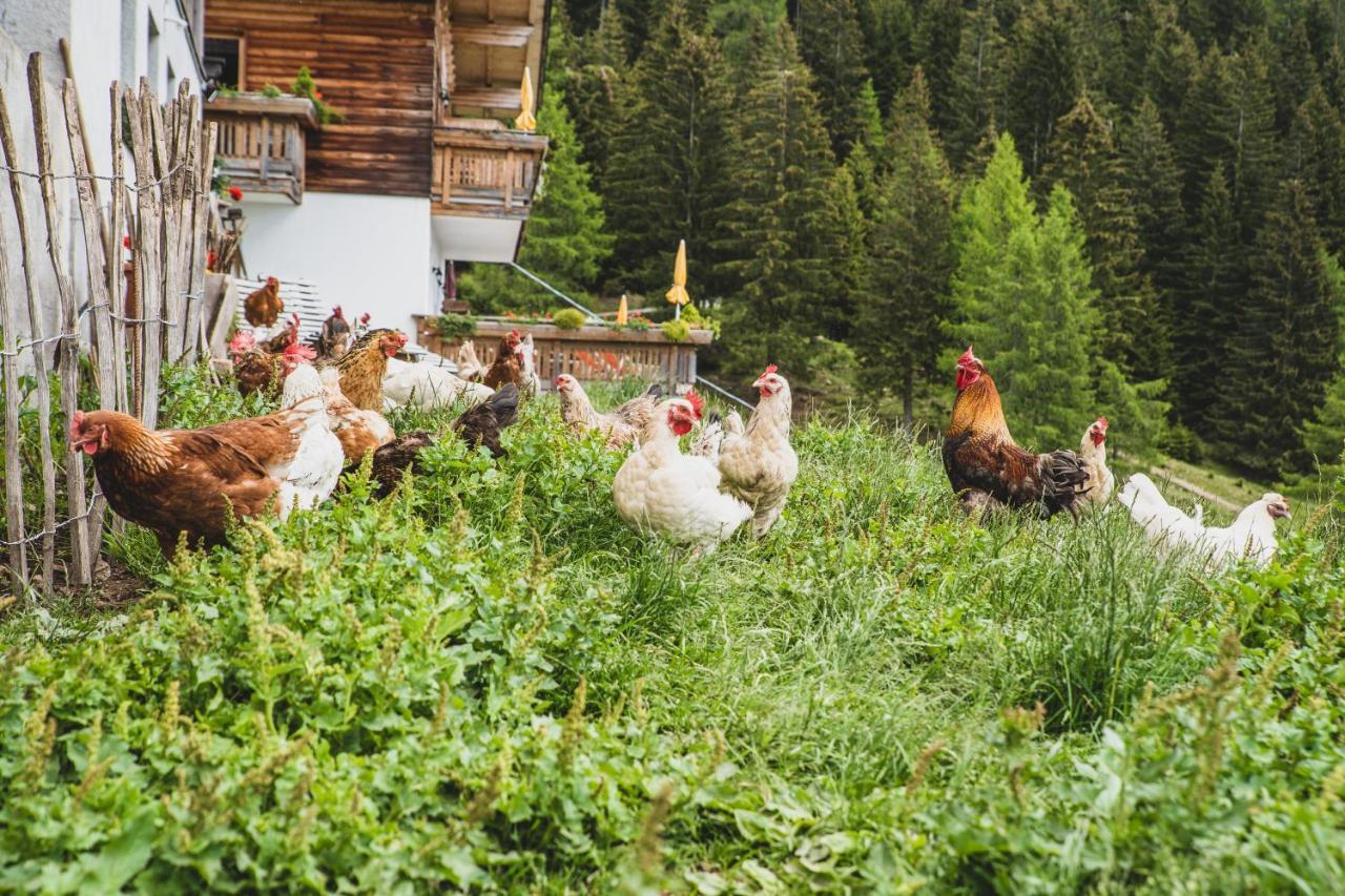 Ferienwohnungen Wiesbauer Schenna Exteriör bild