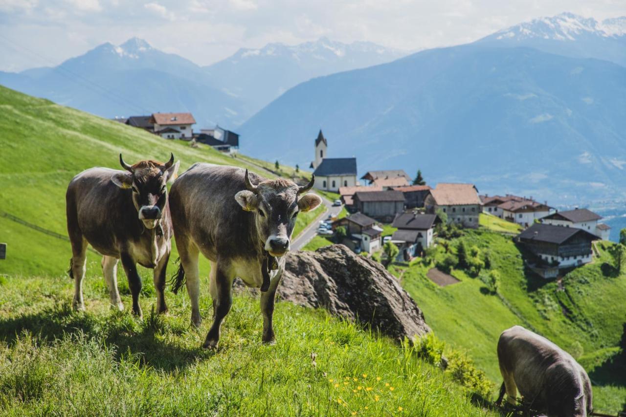 Ferienwohnungen Wiesbauer Schenna Exteriör bild