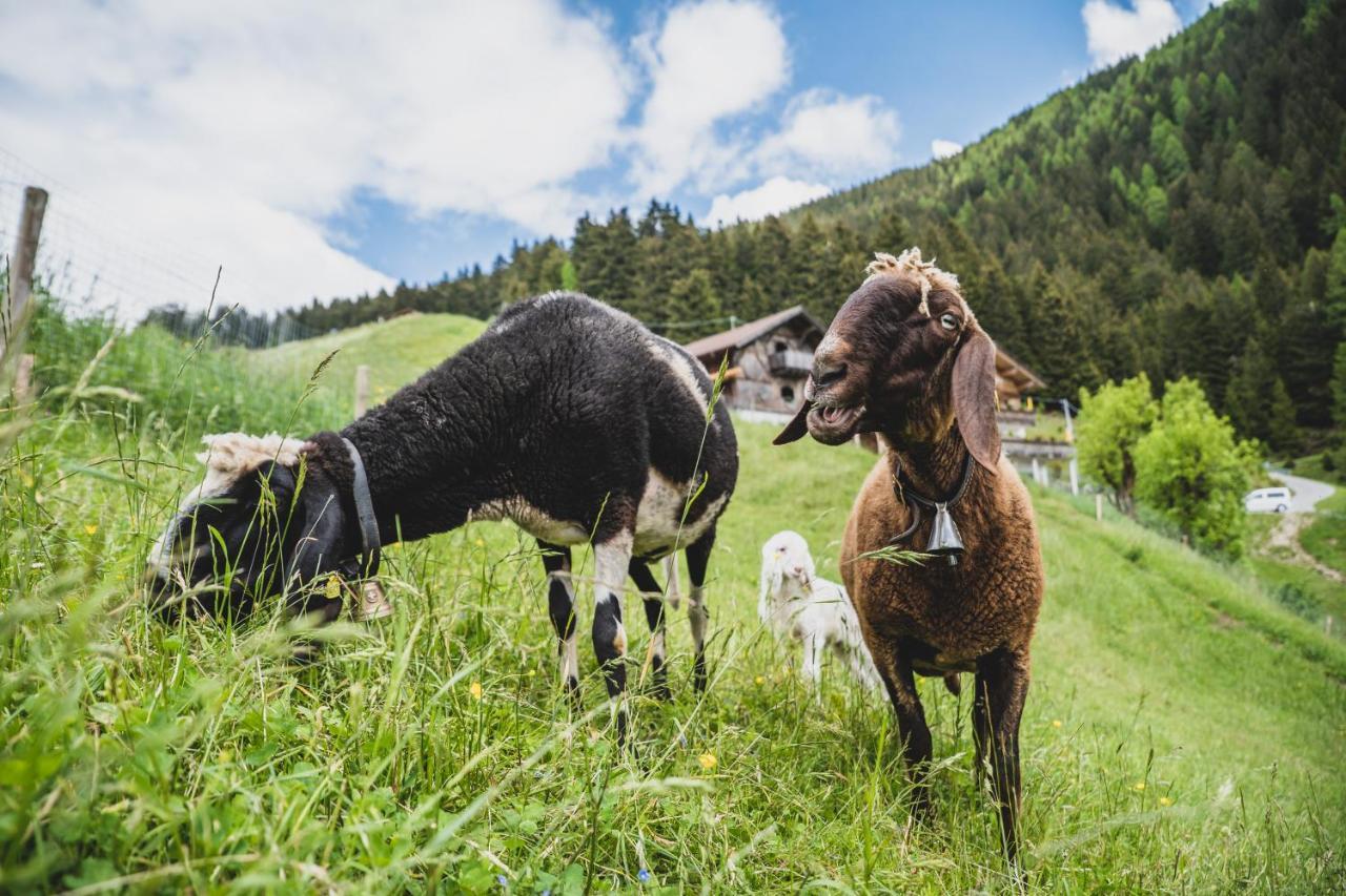 Ferienwohnungen Wiesbauer Schenna Exteriör bild