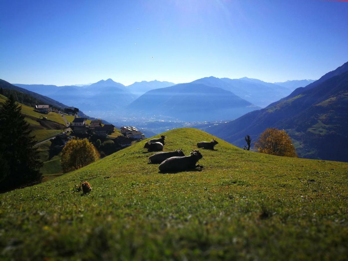 Ferienwohnungen Wiesbauer Schenna Exteriör bild